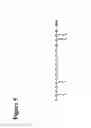 Fig. 08 - Fluorescent ligands for GPCR arrays