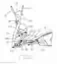 Fig. 03 - Pace-adjusting mechanism of an elliptical cross trainer