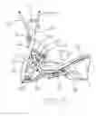 Fig. 06 - Pace-adjusting mechanism of an elliptical cross trainer
