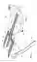 Fig. 07 - Orthopedic brace