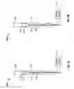 Fig. 03 - METHOD AND APPARATUS FOR THE DETACHMENT OF CATHETERS OR PUNCTURING OF MEMBRANES AND INTRALUMINAL DEVICES WITHIN THE BODY
