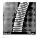 Fig. 01 - Plasma-treated vascular occlusion devices and methods