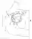 Fig. 02 - Cardiac stimulation electrodes, delivery devices, and implantation configurations