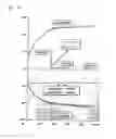 Fig. 06 - FEMUR HEAD CENTER LOCALIZATION