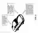 Fig. 07 - Embedded dynamic map generation