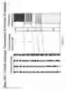 Fig. 07 - Method for creating a stratigraphic model using pseudocores created from borehole images