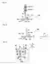 Fig. 06 - Screw measuring method, screw measuring probe, and screw measuring apparatus using the screw measuring probe