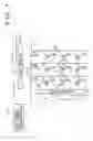 Fig. 08 - Liquid crystal panel, driving method for liquid crystal panel, and program
