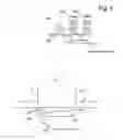 Fig. 05 - Apparatus for reducing the impact of program disturb