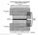 Fig. 05 - Multi-dimensional CMUT array with integrated beamformation