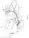 Fig. 04 - Timepiece with a striking mechanism comprising a single barrel