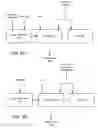 Fig. 03 - Digital watermarking methods, systems and apparatus