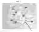 Fig. 07 - Digital watermarking methods, systems and apparatus