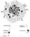 Fig. 01 - Methods and compositions for imaging