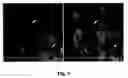 Fig. 06 - Methods and compositions for imaging