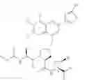 Fig. 04 - Hepatitis C inhibitor compounds