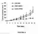 Fig. 07 - ANTI-HYPERPROLIFERATIVE THERAPIES TARGETING HDGF