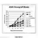 Fig. 09 - ANTI-HYPERPROLIFERATIVE THERAPIES TARGETING HDGF