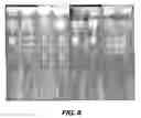 Fig. 06 - Method of photoresist strip for plasma doping process of semiconductor manufacturing
