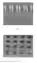 Fig. 08 - DYNAMIC MULTI-PURPOSE COMPOSITION FOR THE REMOVAL OF PHOTORESISTS AND METHOD FOR ITS USE