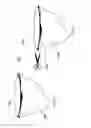 Fig. 11 - DECORATIVE IRRIGATION AND SOLUBLE PRODUCT DELIVERY SYSTEM