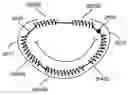 Fig. 01 - Annuloplasty device having a helical anchor and methods for its use