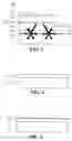 Fig. 03 - Light Emitting Device and Method of Manufacturing the Same