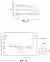 Fig. 06 - Light Emitting Device and Method of Manufacturing the Same