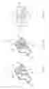 Fig. 08 - CHIP SEAT STRUCTUER FOR LIGHT-EMITTING CRYSTAL AND A PACKAGING STRUCTURE THEREOF