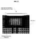 Fig. 07 - On-plug magnetic tunnel junction devices based on spin torque transfer switching