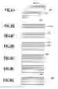 Fig. 09 - Method of cleaning head and inkjet recording apparatus