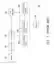 Fig. 02 - Apparatus and method for distributing video image to a plurality of live communication interfaces simultaneously