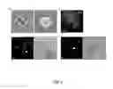 Fig. 09 - Methods of Making and Using Skin-Derived Stem Cells