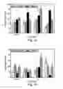 Fig. 02 - Transgenic , method for producing same and use thereof