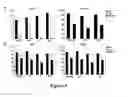 Fig. 08 - STEM CELLS DERIVED FROM UNIPARENTAL EMBRYOS AND METHODS OF USE THEREOF