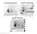 Fig. 01 - LABELING AND DETECTION OF POST TRANSLATIONALLY MODIFIED PROTEINS
