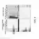Fig. 06 - LABELING AND DETECTION OF POST TRANSLATIONALLY MODIFIED PROTEINS