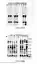 Fig. 22 - LABELING AND DETECTION OF POST TRANSLATIONALLY MODIFIED PROTEINS