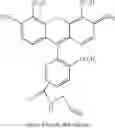 Fig. 49 - LABELING AND DETECTION OF POST TRANSLATIONALLY MODIFIED PROTEINS