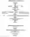 Fig. 01 - Strains of for plasmid DNA production