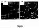 Fig. 02 - Biosensors