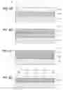 Fig. 06 - Process for improving critical dimension uniformity of integrated circuit arrays