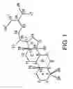 Fig. 02 - Novel conjugate compounds and dermatological compositions thereof