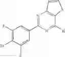 Fig. 98 - Aromatic-ring-fused pyrimidine derivative
