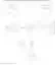 Fig. 53 - Phenanthridinium derivatives as DNA binding agents