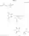 Fig. 22 - Imidazolidine derivatives