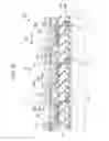 Fig. 25 - Light-emitting device, method of producing light-emitting device, exposure unit, and electronic device