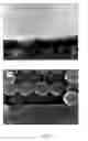 Fig. 04 - HARDENING OF ORDERED FILMS OF SILICA COLLOIDS
