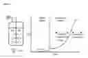 Fig. 06 - Process for plasmid DNA fermentation