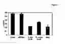 Fig. 02 - Nitroreductase enzymes for bioremediation